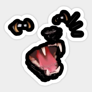 Cat Sticker